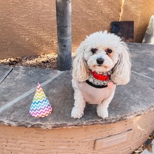 Meet your Posher, Taylor